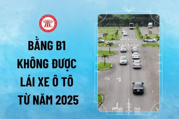 Bằng Lái Xe B1 Từ 2026: Được Lái Xe Gì Và Thời Hạn Như Thế Nào?