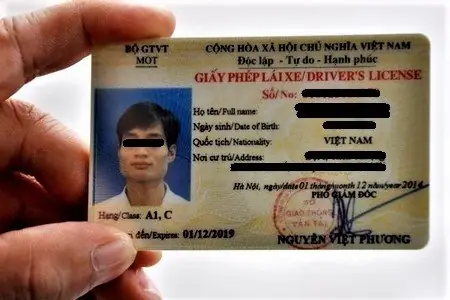 Bằng Lái Xe Ô Tô Là Gì? Các Loại Bằng Lái Tại Việt Nam