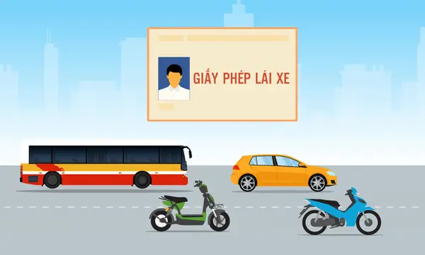 Hệ Thống Phân Loại Bằng Lái Xe Ô Tô Việt Nam: Điều Cần Biết