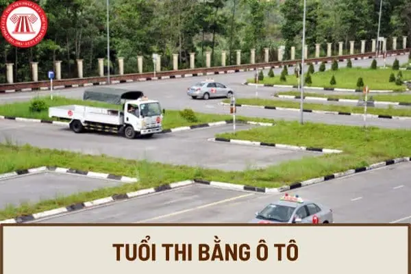 Bao Nhiêu Tuổi Được Thi Bằng Lái Xe Ô Tô? Tổng Hợp Các Hạng Bằng Và Quy Định