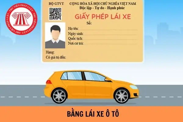 Độ Tuổi Lái Xe Ô Tô: Quy Định Chi Tiết Theo Pháp Luật Độ Tuổi Lái Xe Ô Tô: Quy Định Chi Tiết Theo Pháp Luật