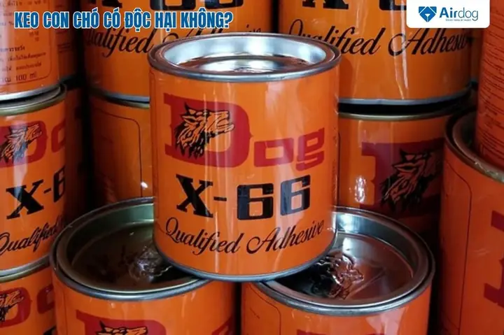 Cách Khử Mùi Keo Con Chó Trên Xe Ô Tô