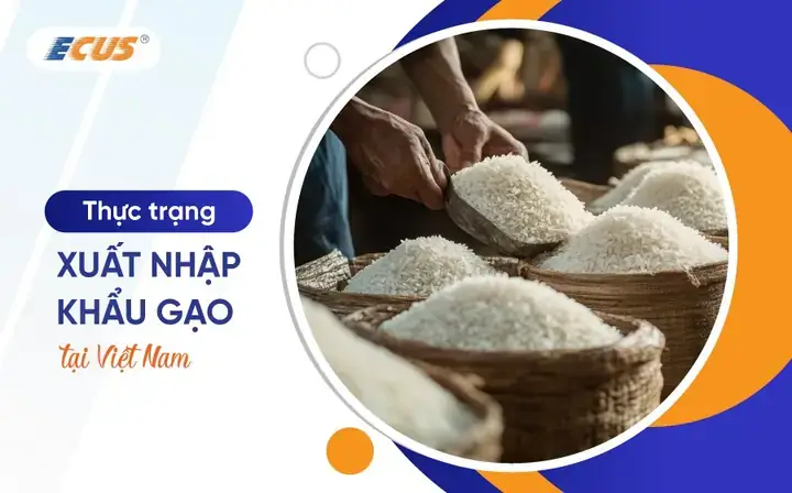 Cách Tính Thuế Nhập Khẩu Xe Ô Tô Mới: Hướng Dẫn Chi Tiết Từ A Đến Z Cách Tính Thuế Nhập Khẩu Xe Ô Tô Mới: Hướng Dẫn Chi Tiết Từ A Đến Z