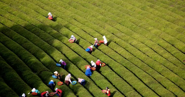 Bảng Giá Ô Tô Hàn Quốc 2026: Cập Nhật Chi Tiết Từ Xe Nhỏ Đến Xe Sang