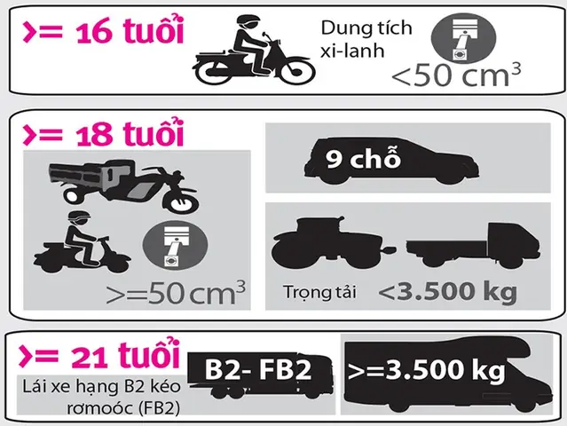 Quy Định Tuổi Học Lái Xe Ô Tô Tại Việt Nam: Cập Nhật 2026 Quy Định Tuổi Học Lái Xe Ô Tô Tại Việt Nam: Cập Nhật 2026