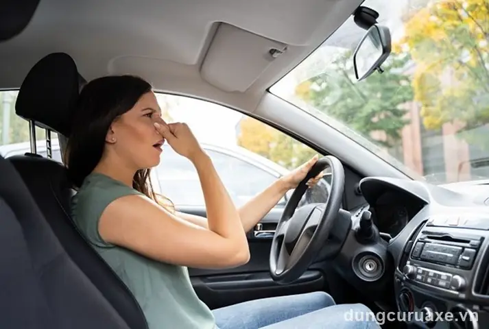Cách Khử Mùi Hải Sản Trên Xe Ô Tô: Hướng Dẫn Chi Tiết Từ A Đến Z Cách Khử Mùi Hải Sản Trên Xe Ô Tô: Hướng Dẫn Chi Tiết Từ A Đến Z