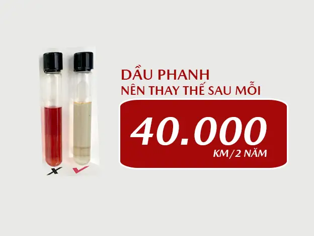 Hướng Dẫn Chi Tiết Cách Kiểm Tra Dầu Phanh Ô Tô Đơn Giản Tại Nhà