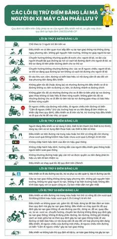 Lỗi Trừ Điểm Bằng Lái Xe Ô Tô