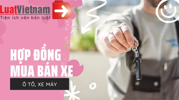 Hợp Đồng Mua Bán Xe Ô Tô Cũ: Mẫu Chuẩn Và Hướng Dẫn Thủ Tục Đầy Đủ Hợp Đồng Mua Bán Xe Ô Tô Cũ: Mẫu Chuẩn Và Hướng Dẫn Thủ Tục Đầy Đủ