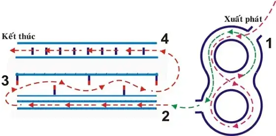 Sơ Đồ Thi Bằng Lái Xe Ô Tô: Cấu Trúc Đề Thi & Mẹo Đậu 100%