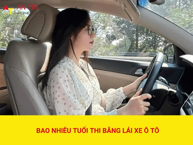 Hướng Dẫn Thi Bằng Lái Xe Ô Tô Hạng D: Từ Điều Kiện Đến Thi Cử Hướng Dẫn Thi Bằng Lái Xe Ô Tô Hạng D: Từ Điều Kiện Đến Thi Cử