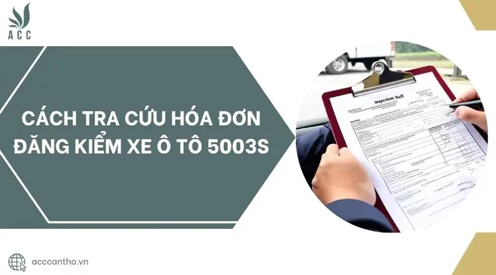 Hướng Dẫn Chi Tiết Cách Tra Cứu Hóa Đơn Đăng Kiểm Xe Ô Tô