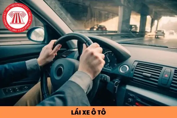 Tuổi Lái Xe Ô Tô Là Bao Nhiêu? Điều Kiện Và Mức Phạt Theo Luật Hiện Hành