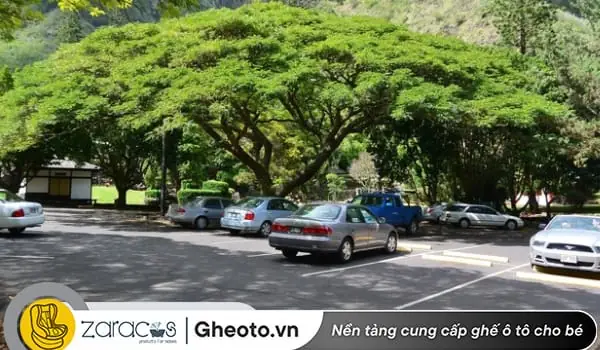 Để Xe Ô Tô Ngoài Nắng Có Sa Không? Tác Hại Thực Tế & Cách Bảo Vệ Chi Tiết Để Xe Ô Tô Ngoài Nắng Có Sa Không? Tác Hại Thực Tế & Cách Bảo Vệ Chi Tiết