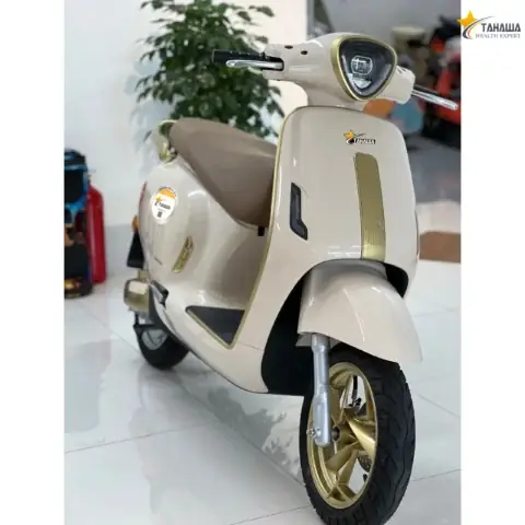 Xe Ô Tô Điện Nhật Bản: Công Nghệ Và Những Mẫu Xe Tiêu Biểu