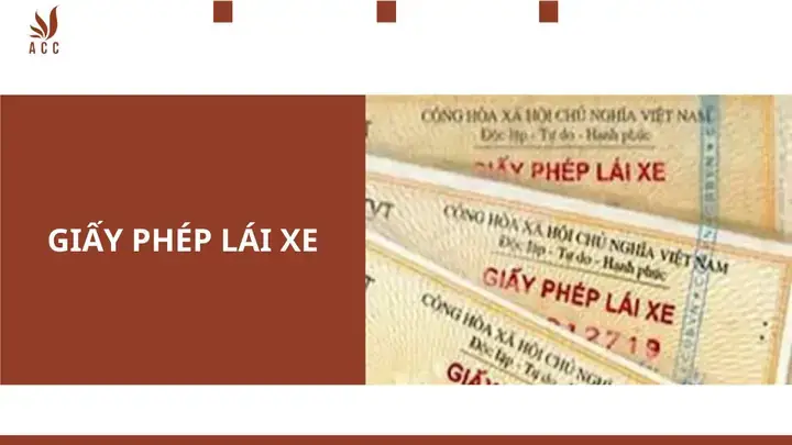 Bằng Lái Xe Ô Tô Tiếng Trung Là Gì? Hệ Thống Phân Hạng & Quy Trình Thi Toàn Tập Bằng Lái Xe Ô Tô Tiếng Trung Là Gì? Hệ Thống Phân Hạng & Quy Trình Thi Toàn Tập