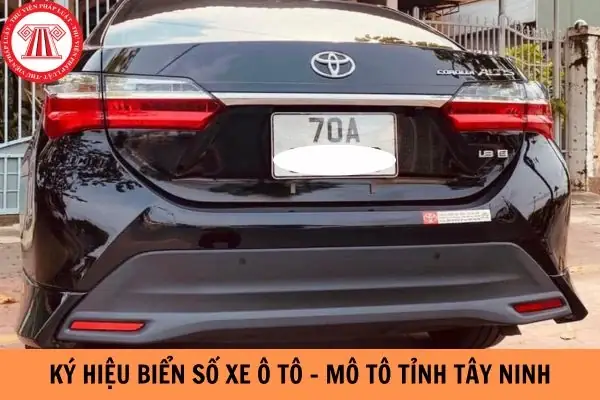 Biển Số Xe Ô Tô Tỉnh Tây Ninh: Ký Hiệu, Quy Định Mới 2026 Và Cách Nhận Biết Biển Số Xe Ô Tô Tỉnh Tây Ninh: Ký Hiệu, Quy Định Mới 2026 Và Cách Nhận Biết