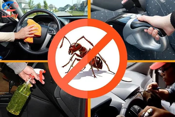 Cách Diệt Kiến Trên Xe Ô Tô Triệt Để: Hướng Dẫn Thực Tế Cho Tài Xế Cách Diệt Kiến Trên Xe Ô Tô Triệt Để: Hướng Dẫn Thực Tế Cho Tài Xế
