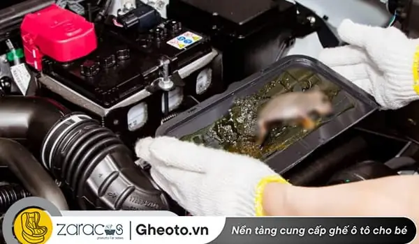Cách Khử Mùi Hôi Chuột Trong Xe Ô Tô: Hướng Dẫn Chi Tiết Từ Chuyên Gia Cách Khử Mùi Hôi Chuột Trong Xe Ô Tô: Hướng Dẫn Chi Tiết Từ Chuyên Gia