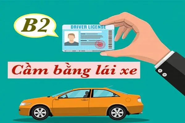 Cầm Bằng Lái Xe Ô Tô Tphcm: Điều Cần Biết Trước Khi Quyết Định