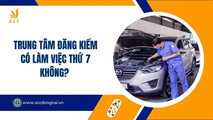 Đăng Kiểm Xe Ô Tô Có Làm Thứ 7 Không