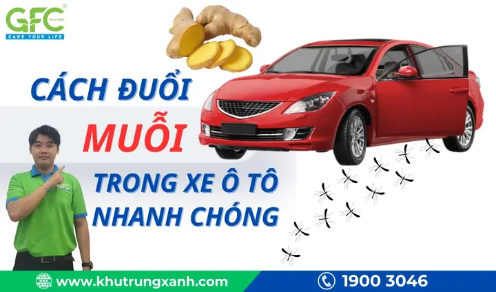 Đuổi Muỗi Trong Xe Ô Tô Đuổi Muỗi Trong Xe Ô Tô