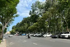 Hướng Dẫn Đỗ Xe Ô Tô Dưới Lòng Đường: Quy Định, Phí & Cách Tránh Phạt Hướng Dẫn Đỗ Xe Ô Tô Dưới Lòng Đường: Quy Định, Phí & Cách Tránh Phạt