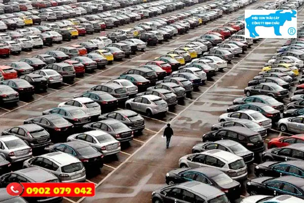 Kinh Doanh Bãi Giữ Xe Ô Tô: Cẩm Nang Chi Tiết Từ A-z Cho Người Mới Bắt Đầu Kinh Doanh Bãi Giữ Xe Ô Tô: Cẩm Nang Chi Tiết Từ A-z Cho Người Mới Bắt Đầu