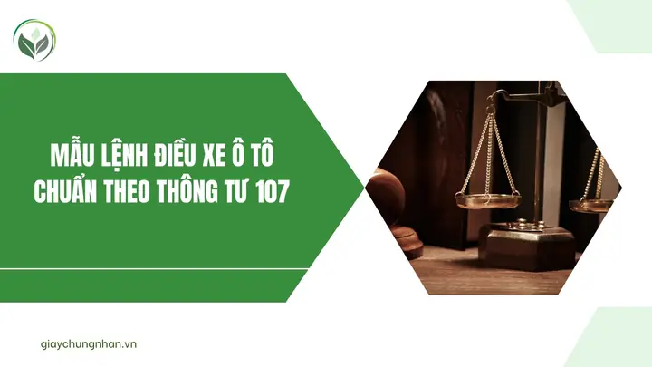 Lệnh Điều Xe Ô Tô: Mẫu Chuẩn & Hướng Dẫn Lập Theo Thông Tư 107 Lệnh Điều Xe Ô Tô: Mẫu Chuẩn & Hướng Dẫn Lập Theo Thông Tư 107