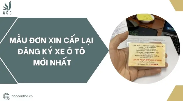 Hướng Dẫn Chi Tiết Mẫu Đơn Xin Cấp Lại Đăng Ký Xe Ô Tô Theo Quy Định Mới Hướng Dẫn Chi Tiết Mẫu Đơn Xin Cấp Lại Đăng Ký Xe Ô Tô Theo Quy Định Mới