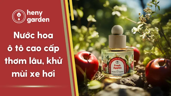 Nước Khử Mùi Xe Ô Tô: So Sánh Chi Tiết Các Loại Và Bí Quyết Lựa Chọn Thông Minh Nước Khử Mùi Xe Ô Tô: So Sánh Chi Tiết Các Loại Và Bí Quyết Lựa Chọn Thông Minh