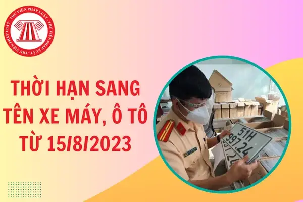 Thời Hạn Sang Tên Xe Ô Tô 2026: Quy Định Mới Theo Thông Tư 24 Và Hậu Quả Nếu Chậm Làm Thời Hạn Sang Tên Xe Ô Tô 2026: Quy Định Mới Theo Thông Tư 24 Và Hậu Quả Nếu Chậm Làm