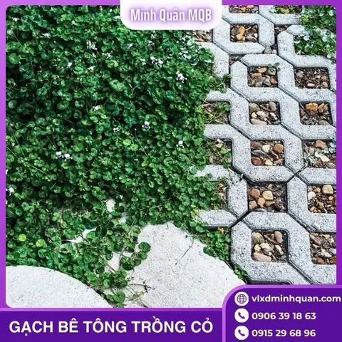 Xe Ô Tô Chở Gạch Xe Ô Tô Chở Gạch