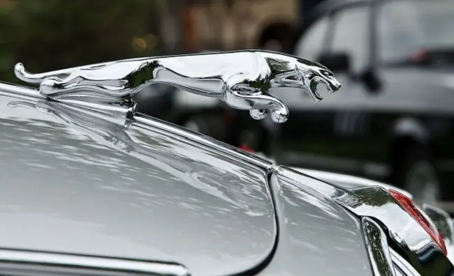 Xe Ô Tô Hình Con Báo Là Của Hãng Nào? Khám Phá Biểu Tượng Jaguar Xe Ô Tô Hình Con Báo Là Của Hãng Nào? Khám Phá Biểu Tượng Jaguar