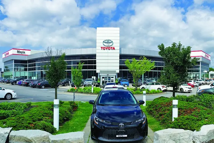 Maple Toyota