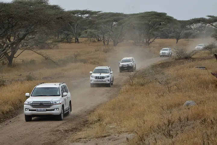 Toyota Africa Toyota Africa