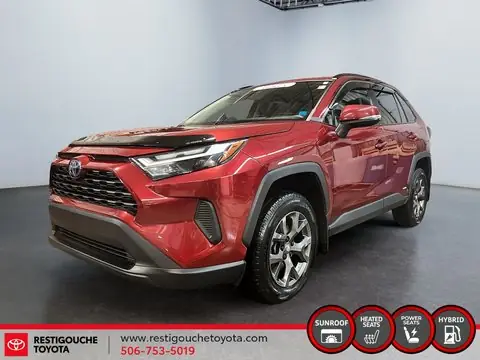 Toyota Campbellton