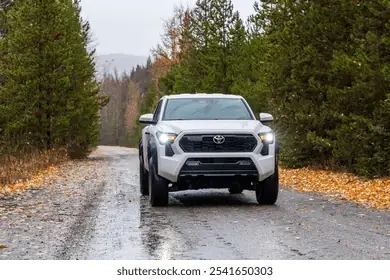 Toyota Rain