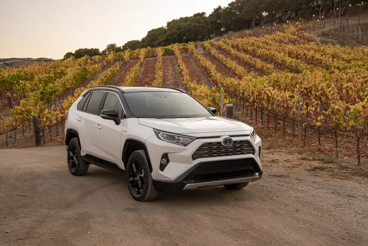 2019 Toyota Rav4 Hybrid
