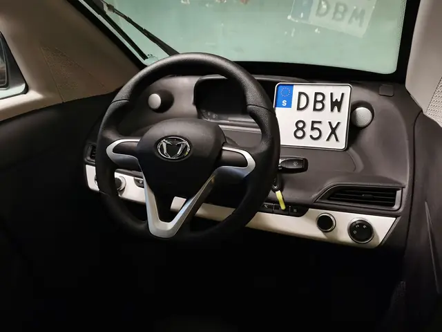 Auction Toyota Iroad
