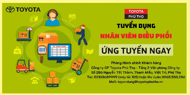 Ms Diu Toyota Ms Diu Toyota