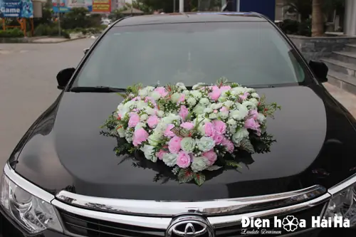 Phan Hồng Hải Toyota Phan Hồng Hải Toyota