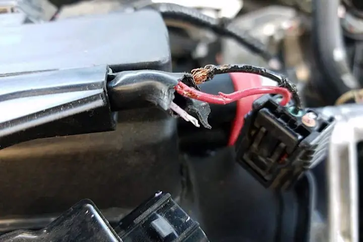 Soy Wiring Toyota Soy Wiring Toyota