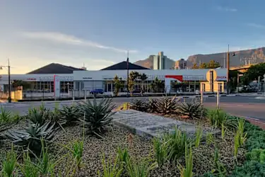 Toyota Cape Town