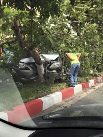 Toyota Trần Đăng Ninh Toyota Trần Đăng Ninh